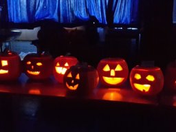 20181018_100350 1